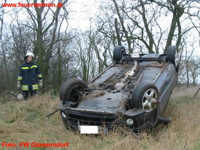 FF Gänserndorf: Glatteisunfälle in Gänserndorf