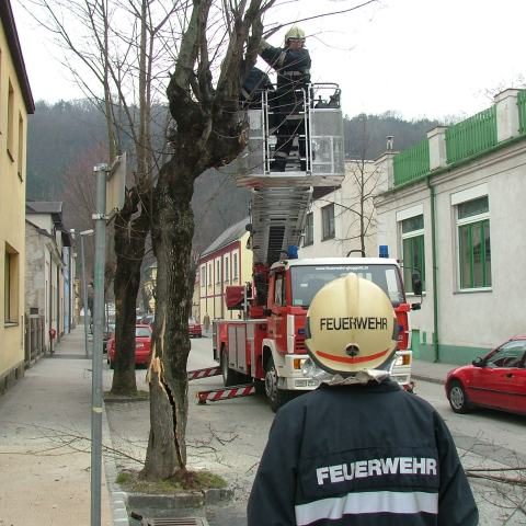 FF Gloggnitz: LKW fährt gegen Baum
