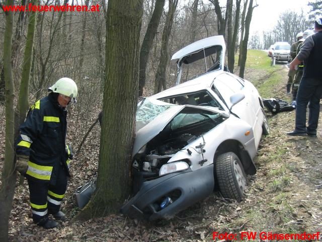 FF Gänserndorf: Verkehrsunfall L11 PKW gegen Baum