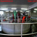 LFV Steiermark: Personenbergung aus Klärschlammbecken