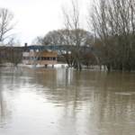 Hochwasseralarm im Bezirk Gänserndorf