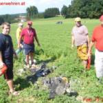 Absturz eines Model-Düsenjets in Ohlsdorf