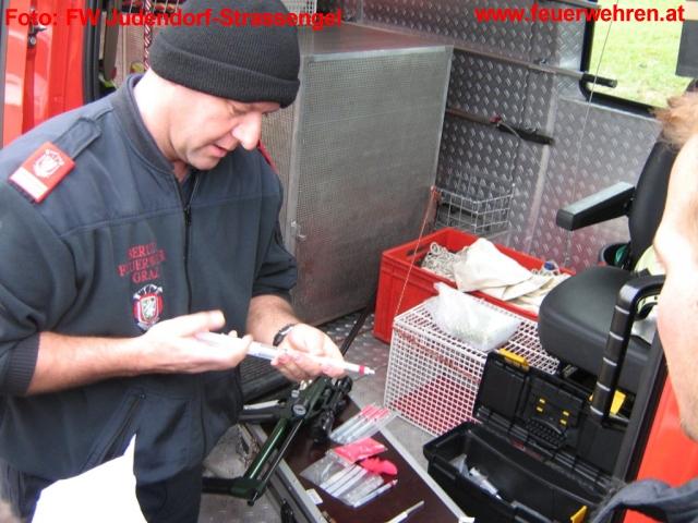 FF Judendorf-Straßengel: Ausgebrochener Jungstier