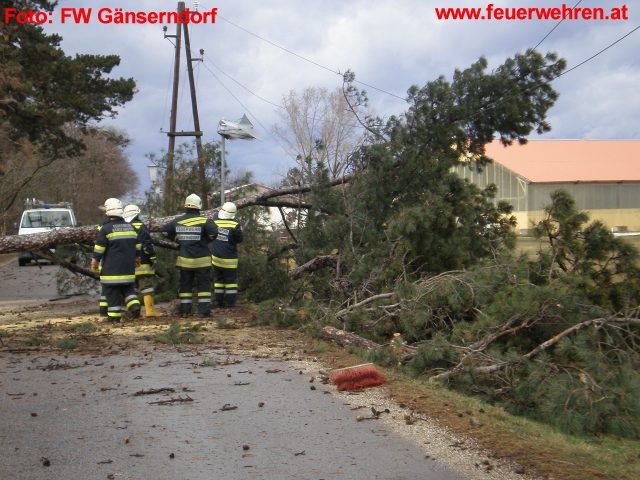 FF Gänserndorf: Orkantief Emma wütete auch in Gänserndorf