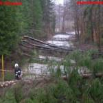 Orkan Emma verwüstete Ohlsdorf