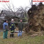 Orkan Emma verwüstete Ohlsdorf