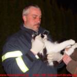 Tierrettung in der Getreidegasse