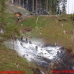 FF Kitzbühel: Waldbrand am Streifalmwald in Kitzbühel