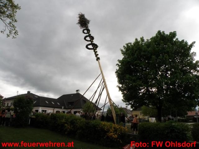 FF Ohlsdorf: Traditionelles Maibaumaufstellen mit Feuerwehr