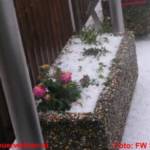 Schweres Hagelunwetter im Gemeindegebiet