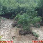 Hochwasser im Bezirk Gmunden