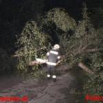 Orkanartiger Sturm im Ennstal