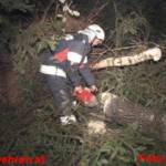 Orkanartiger Sturm im Ennstal