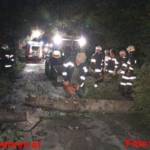 Orkanartiger Sturm im Ennstal