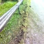 Ölalarm nach Lkw Unfall auf der A9