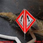 Nächtliches Unwetter über Graz hält die Feuerwehren in Atem