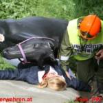 Einsatzübung der Rettungsorganisationen mit Pferden