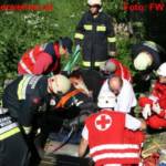 Einsatzübung der Rettungsorganisationen mit Pferden