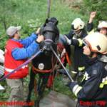 FF Ohlsdorf: Einsatzübung der Rettungsorganisationen