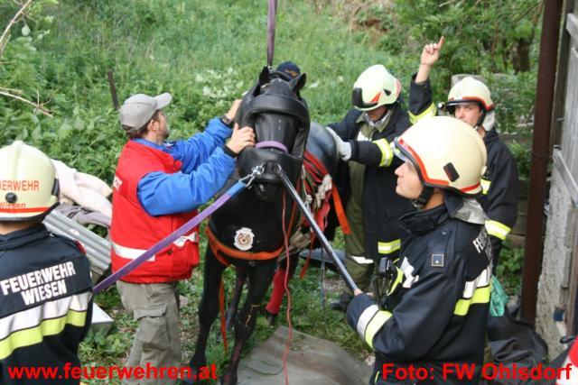 FF Ohlsdorf: Einsatzübung der Rettungsorganisationen