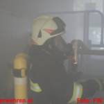 Einsatzübung der Rettungsorganisationen mit Pferden