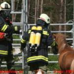 Einsatzübung der Rettungsorganisationen mit Pferden