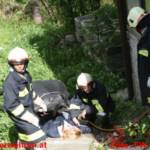 Einsatzübung der Rettungsorganisationen mit Pferden