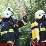 Einsatzübung der Rettungsorganisationen mit Pferden