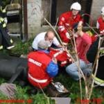 Einsatzübung der Rettungsorganisationen mit Pferden