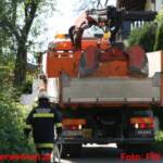 Einsatzübung der Rettungsorganisationen mit Pferden