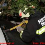 Reale Einsatzübung im Kreisverkehr