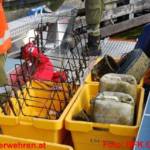 BFK Gmunden: 100 Feuerwehrtaucher reinigten den Traunsee 1