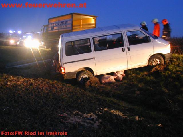 Schweinischer Einsatz