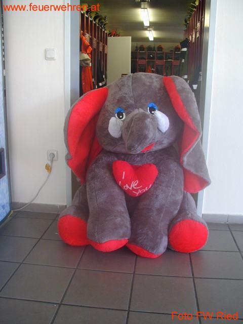 FF Ried im Innkreis: Ein weiteres “Hochwasseropfer“