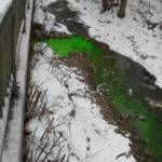 Keine Gefahr durch „grünes Wasser“ im Stiftingtalbach