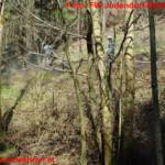 FF Judendorf-Straßengel: Waldbrand im Luttengraben