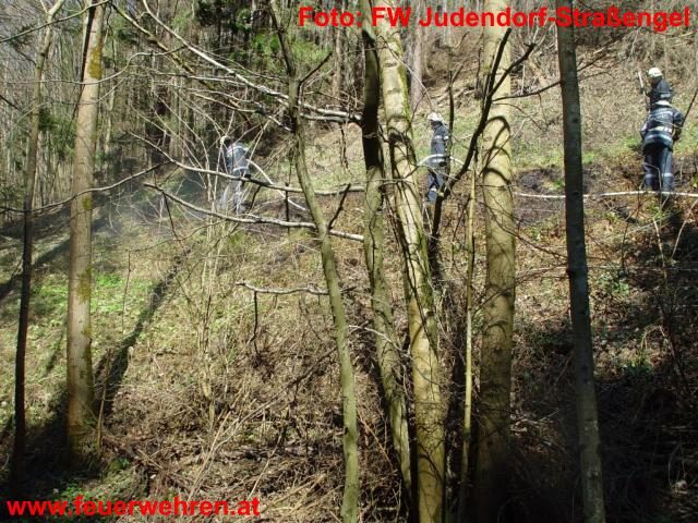 FF Judendorf-Straßengel: Waldbrand im Luttengraben