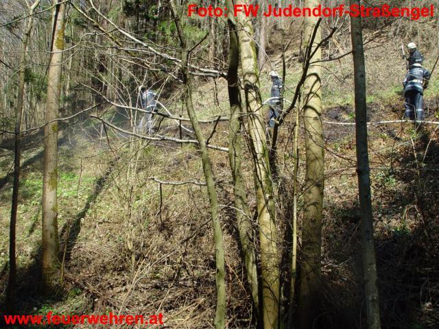 FF Judendorf-Straßengel: Waldbrand im Luttengraben