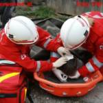 Einsatzübung Brand mit verletzten Pferden