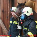 Einsatzübung Brand mit verletzten Pferden