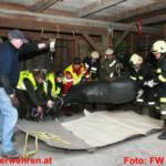 Einsatzübung Brand mit verletzten Pferden