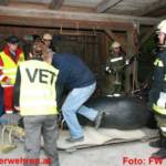 Einsatzübung Brand mit verletzten Pferden