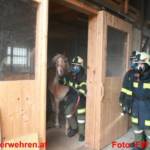 Einsatzübung Brand mit verletzten Pferden