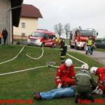 Einsatzübung Brand mit verletzten Pferden