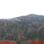 Waldbrand in Pfandl