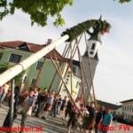 Ohlsdorfer Maibaum steht – Feuerwehr unterstützte tatkräftig