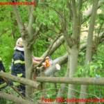 Sturmeinsätze in Judendorf-Straßengel