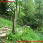 Sturmeinsätze in Judendorf-Straßengel