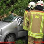 Baum stürzte auf fahrenden PKW