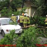 Baum stürzte auf fahrenden PKW